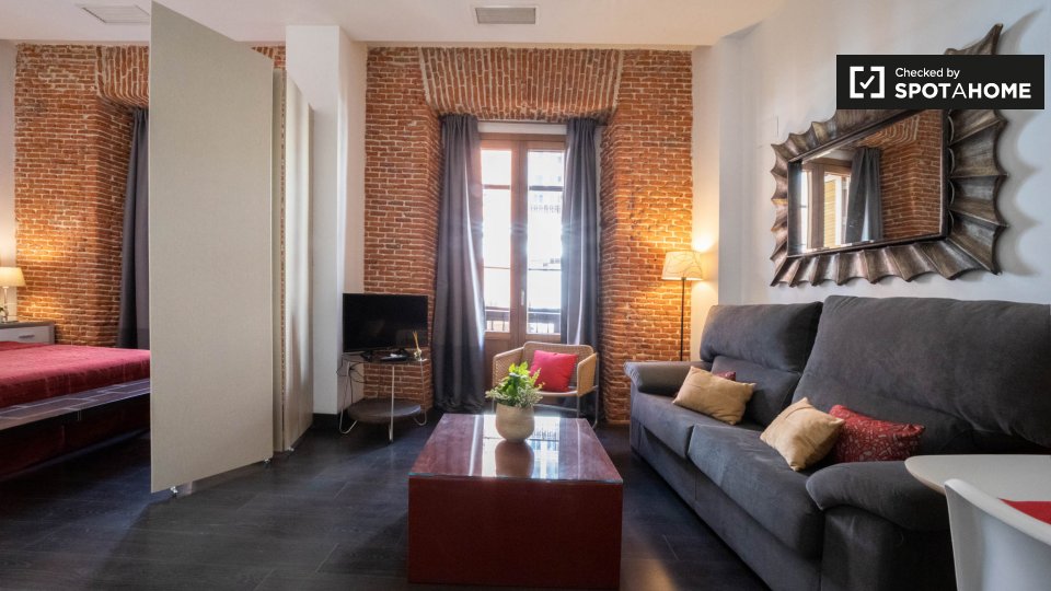 Apartment mono Madrid — photo 1