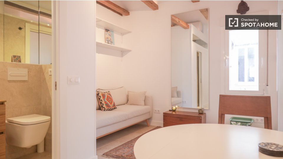 Apartment mono Madrid — photo 13