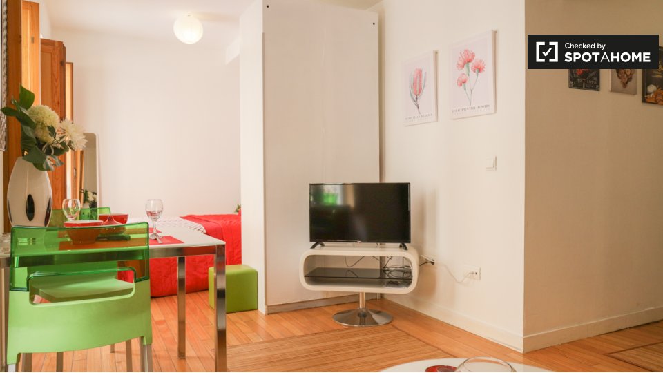 Apartment mono Madrid, 1m² — photo 3