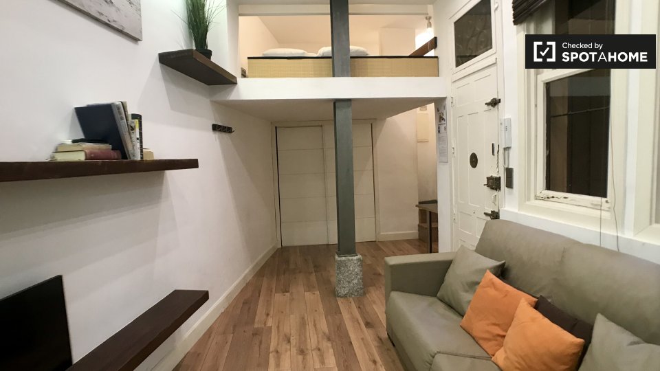 Apartment mono Madrid, 40m² — photo 15