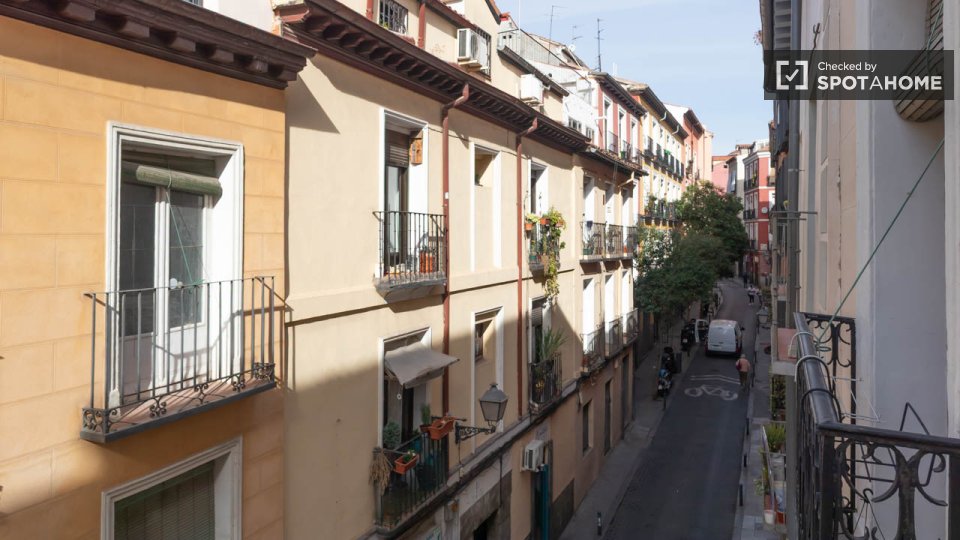 Double room Madrid, 2 beds — photo 7