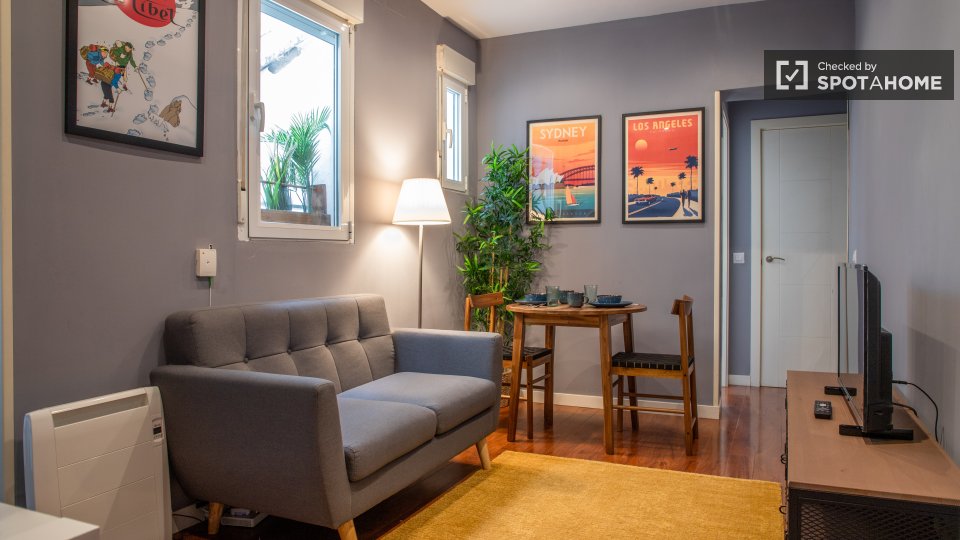 Apartment Madrid, 1 bed — photo 14