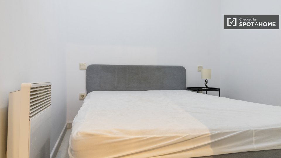 Apartment Madrid, 1 bed — photo 36