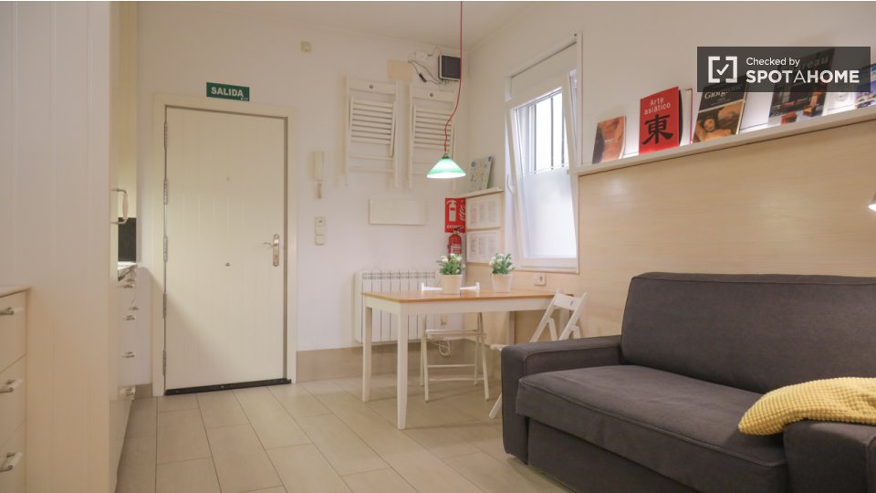 Apartment mono Madrid, 30m² — photo 9