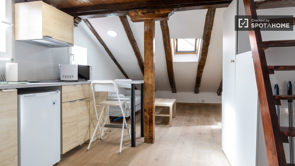 Apartment mono Madrid — photo 19