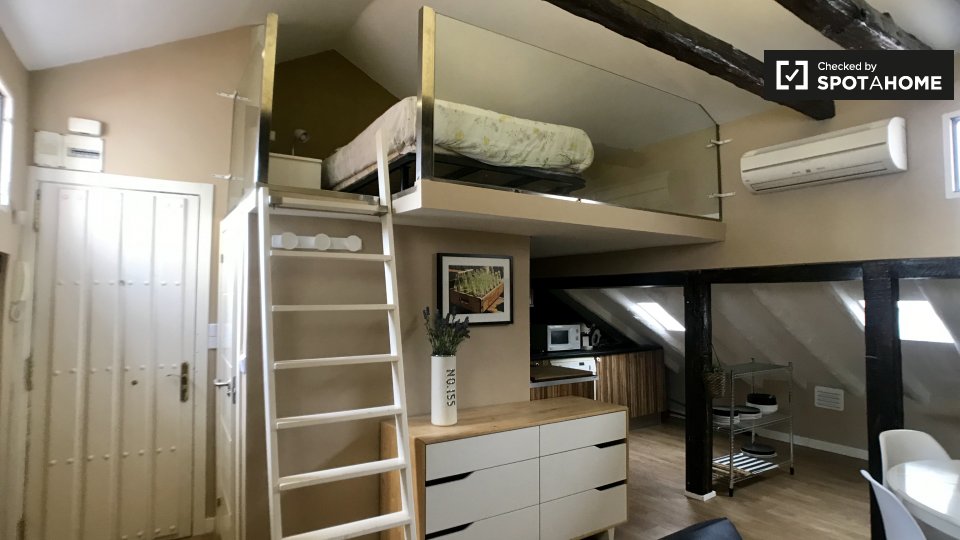 Apartment mono Madrid, 50m² — photo 6