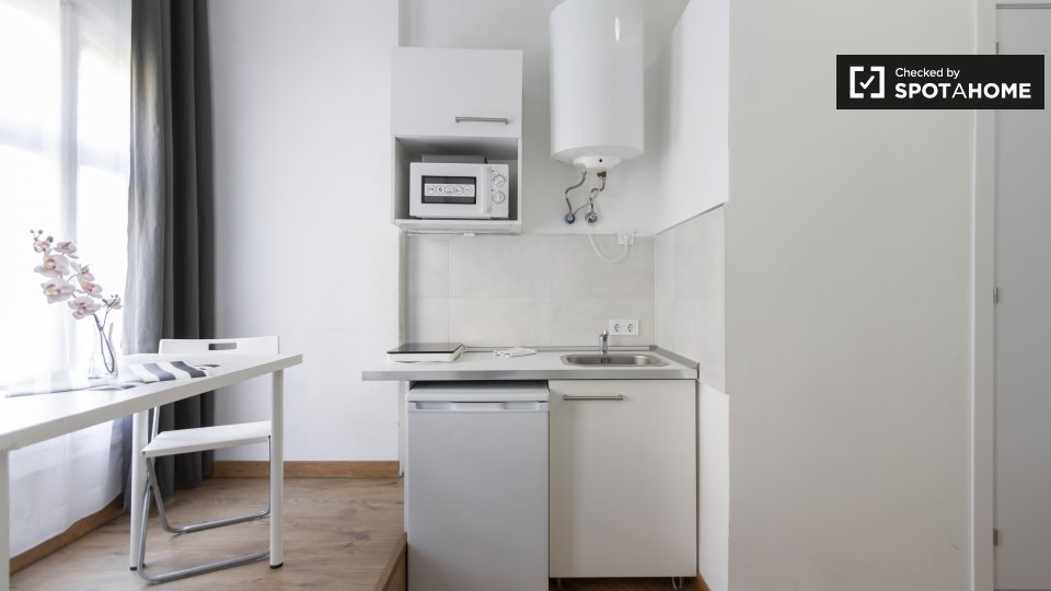 Apartment mono Madrid, 19m² — photo 8