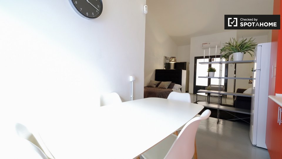 Apartment mono Madrid — photo 13