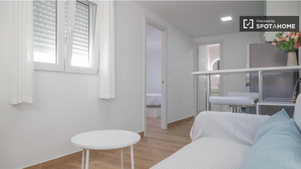 Apartment Madrid, 1 bed — photo 14