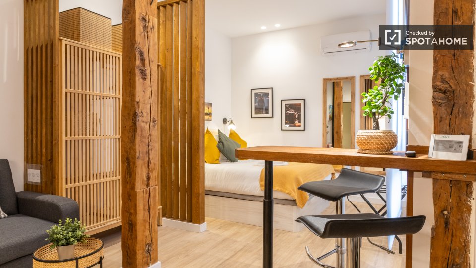 Apartment mono Madrid — photo 9