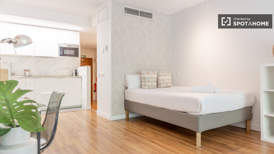 Apartment Madrid, 1 bed — photo 38