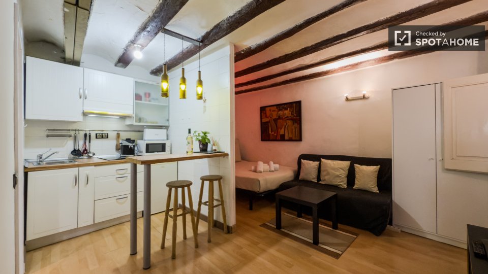 Apartment mono Barcelona, 25m² — photo 22