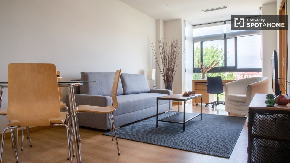 Apartment Madrid, 1 bed, 63m² — photo 15