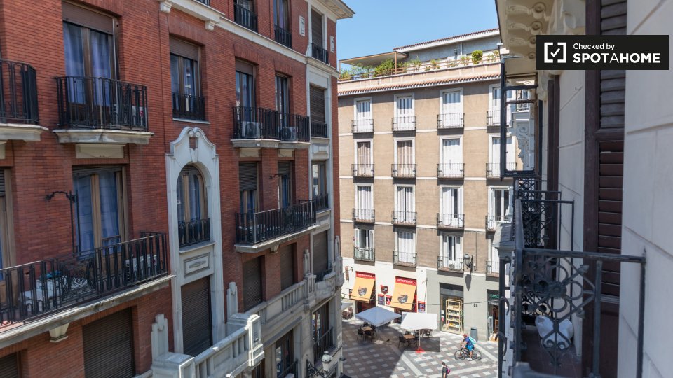Double room Madrid, 10 beds, 220m² — photo 5