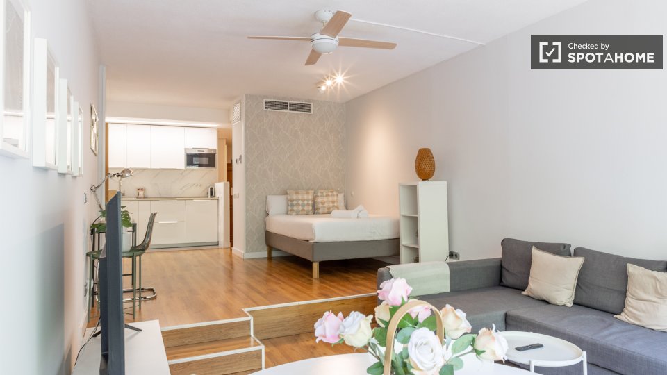 Apartment Madrid, 1 bed — photo 26