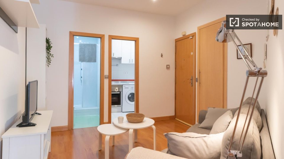 Apartment Madrid, 1 bed — photo 16