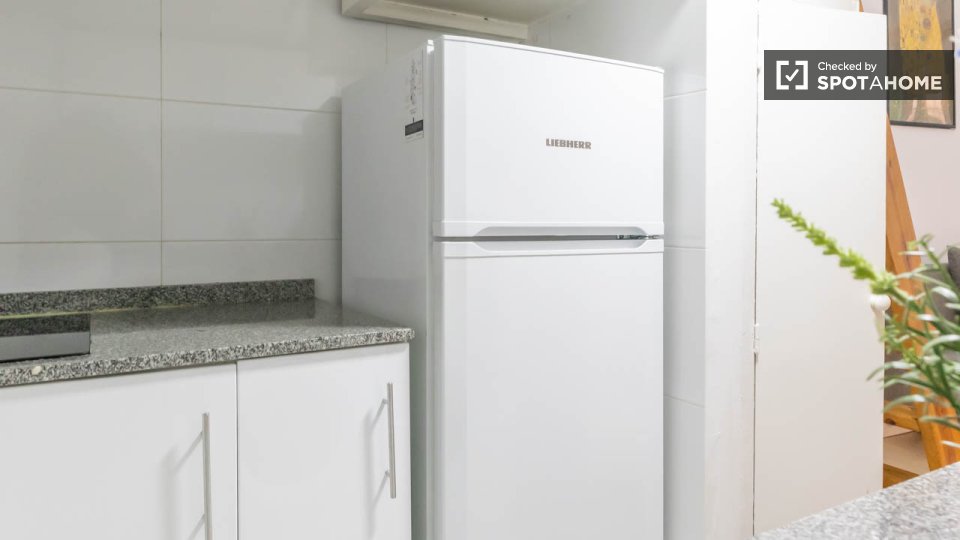 Apartment mono Madrid, 27m² — photo 32