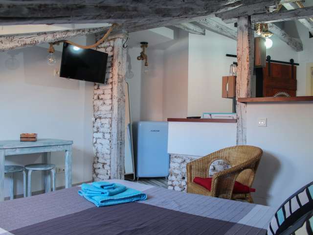 Cozy studio apartment for rent in Madrid City Centre - View 6