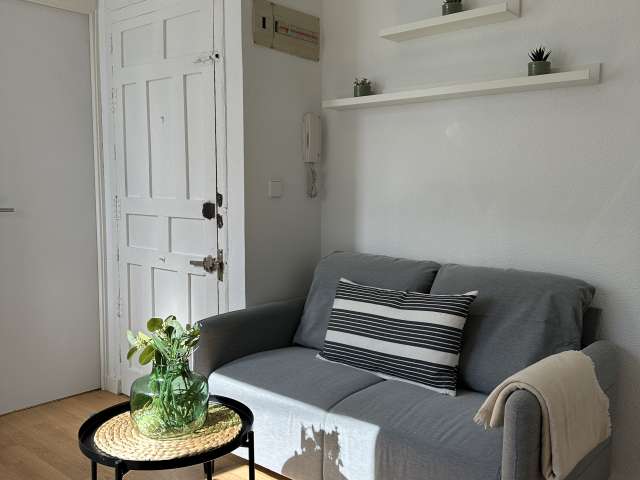 1-bedroom apartment for rent in Delicias, Madrid. - View 2