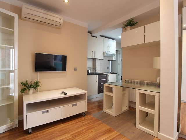 Modern Studio apartment for rent in Madrid Rio, Madrid - View 4