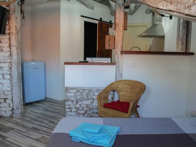 Cozy studio apartment for rent in Madrid City Centre - View 5