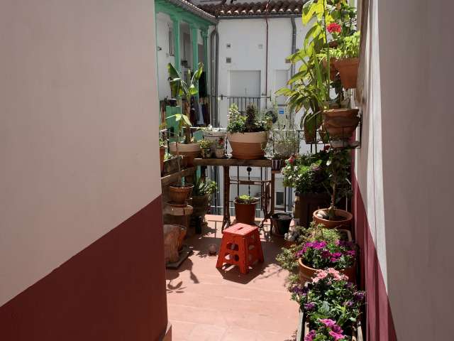 Studio for rent in Embajadores, Madrid - View 4
