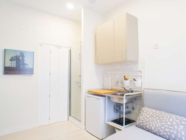 Studio for rent in Universidad, Madrid - Vista 3