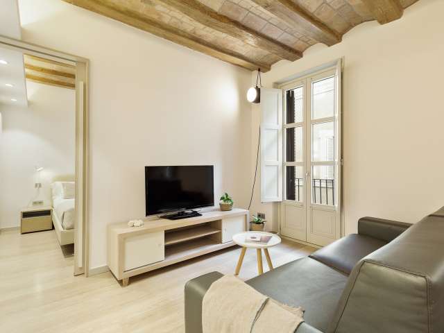 2-bedroom apartment for rent in El Gòtic, Barcelona - More