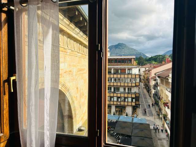 2-bedroom flat for rent in Durango, Bilbao - View 6