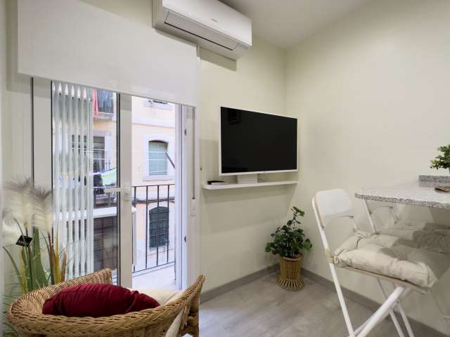 2-bedroom apartment for rent in La Barceloneta, Barcelona - More