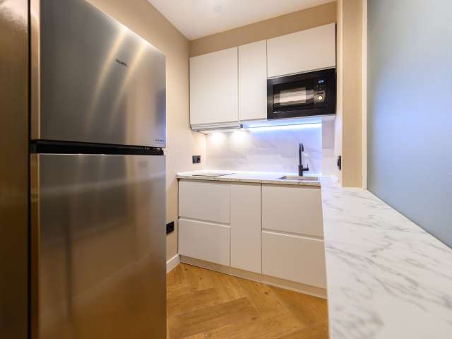 Studio for rent in Cortes, Madrid - Más