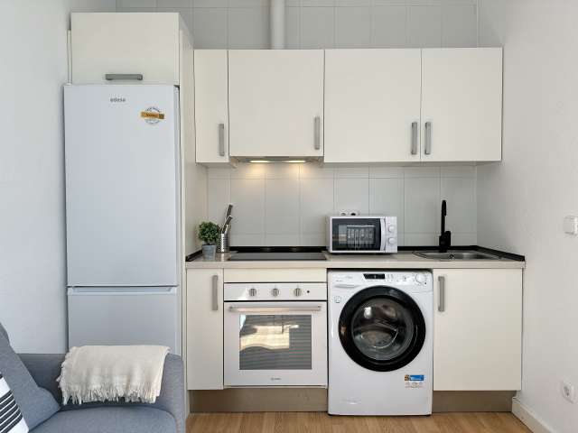 1-bedroom apartment for rent in Delicias, Madrid. - View 4