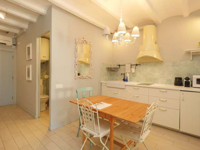 2-bedroom apartment for rent in el Gotic, Barcelona - View 6