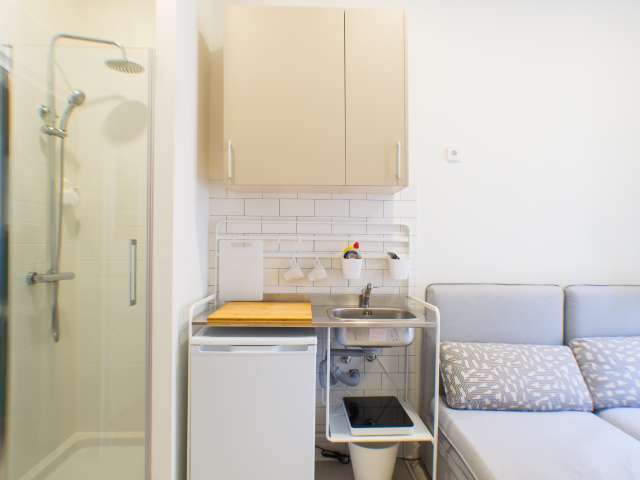 Studio for rent in Universidad, Madrid - Más
