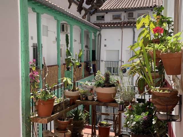 Studio for rent in Embajadores, Madrid - View 3