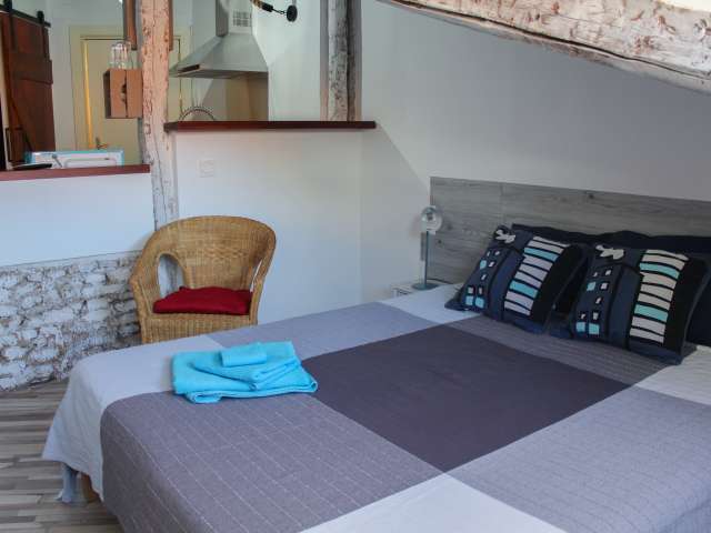 Cozy studio apartment for rent in Madrid City Centre - View 4