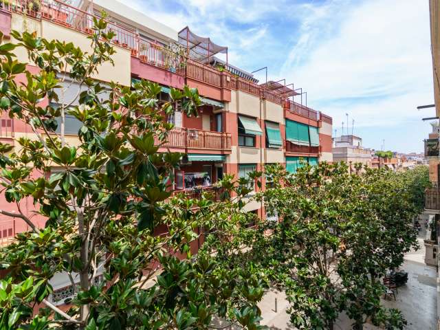 1 room of 78m² in Barcelona photo 16