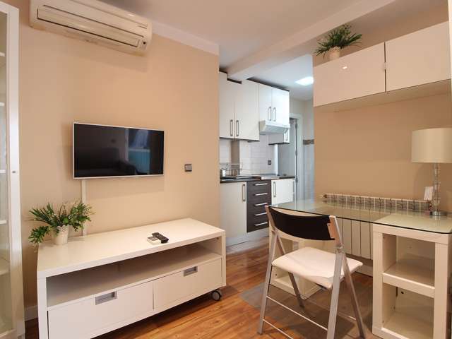 Modern Studio apartment for rent in Madrid Rio, Madrid - View 6