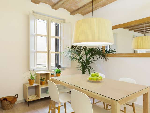 2-bedroom apartment for rent in El Gòtic, Barcelona - View 5