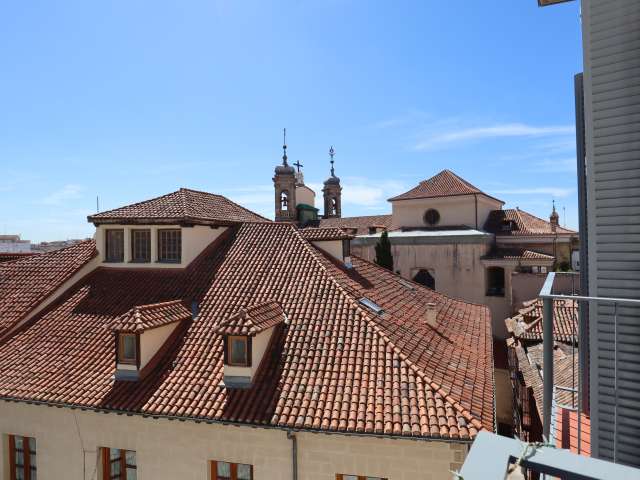 Apartment in Madrid - View 5
