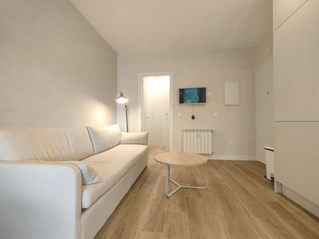 Studio for rent in Hispanoamérica, Madrid - View 6