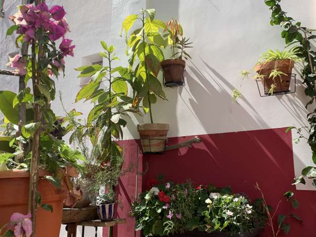Studio for rent in Embajadores, Madrid - View 5