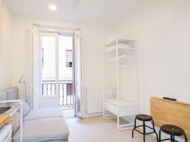 Studio for rent in Universidad, Madrid - Vista 4