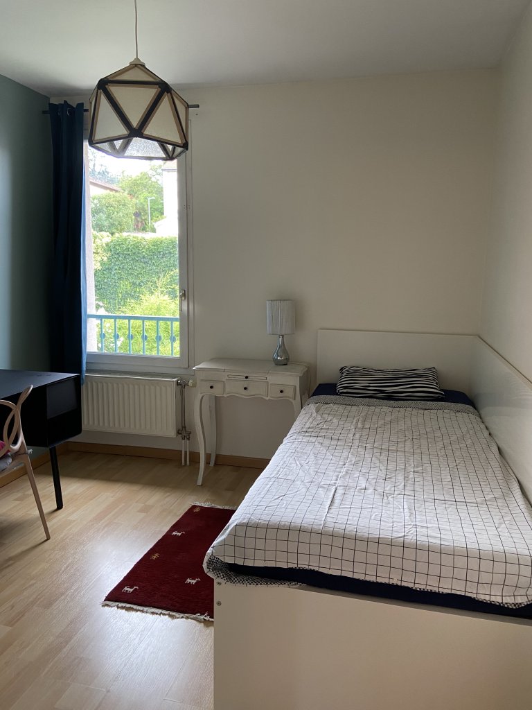 Room in Oullins-Pierre-Bénite