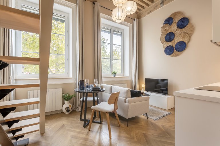 Studio à Lyon
