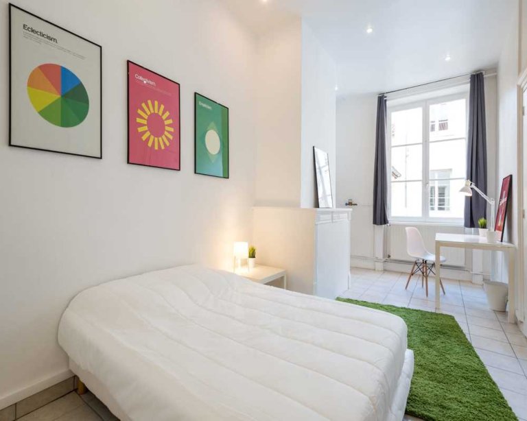 Room in Lyon