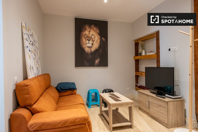 Apartment in Madrid
